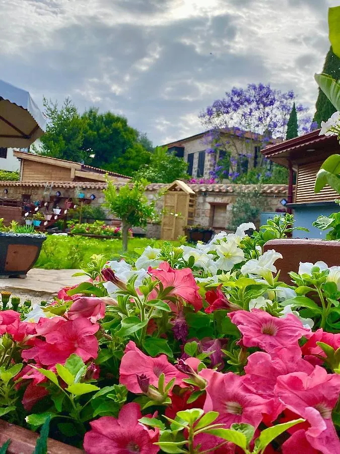 Homestay Necip Bey Konagi Apartment Antalya